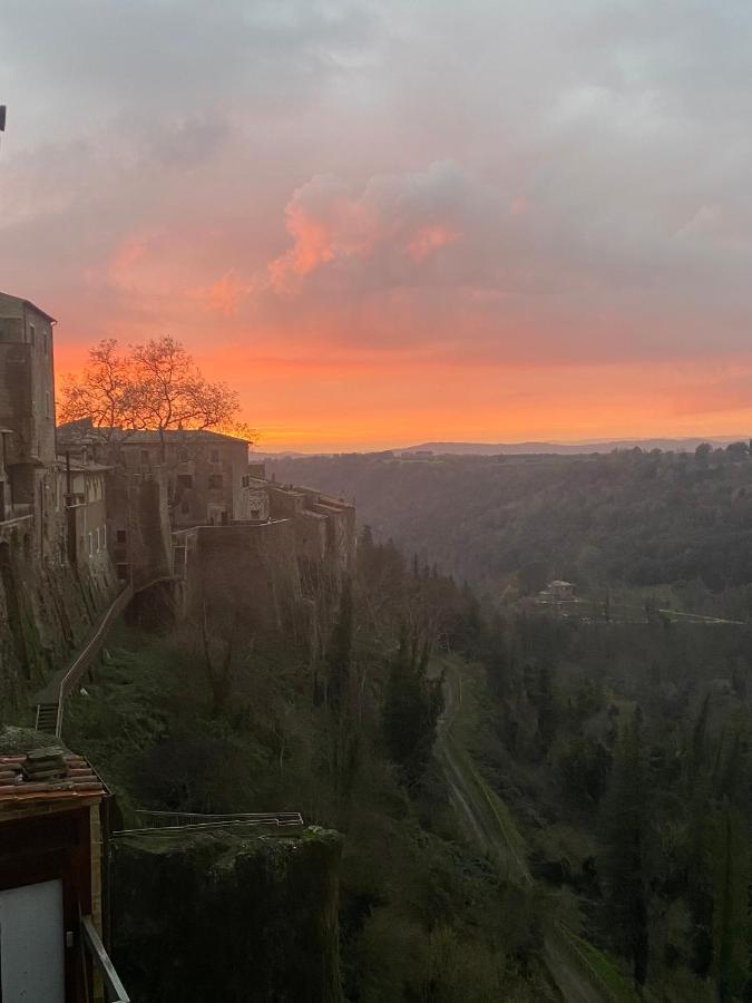 Ferienwohnung La Sorpresa Sul Bastione With Panoramic Balcony Pitigliano Exterior foto