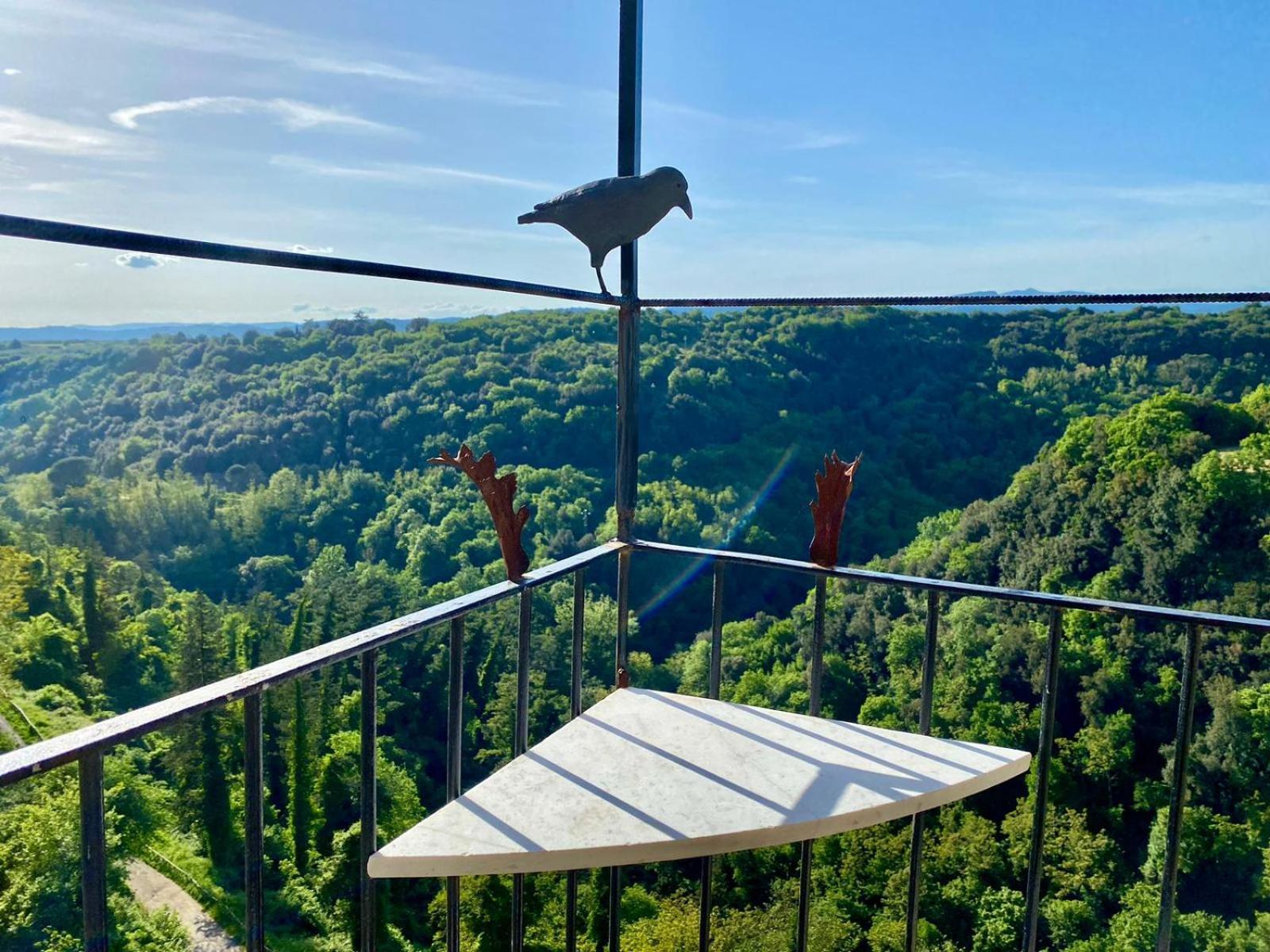Ferienwohnung La Sorpresa Sul Bastione With Panoramic Balcony Pitigliano Exterior foto