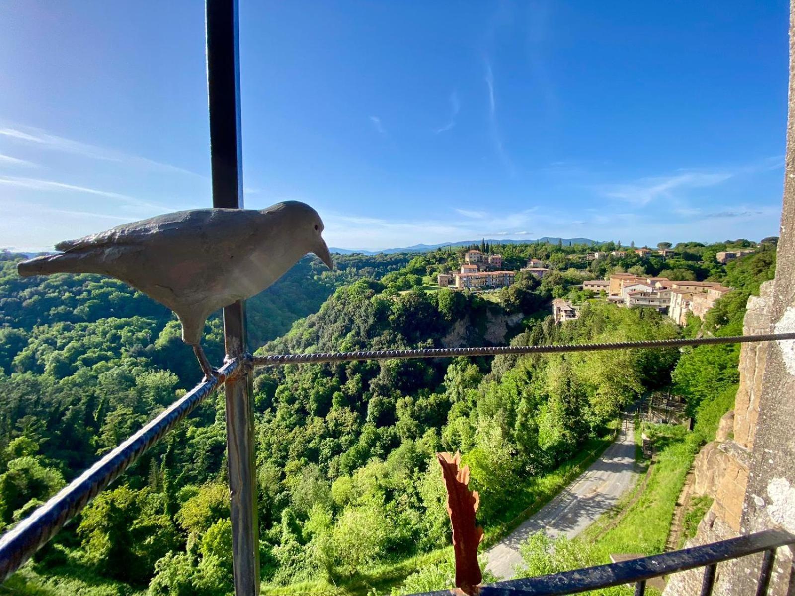 Ferienwohnung La Sorpresa Sul Bastione With Panoramic Balcony Pitigliano Exterior foto